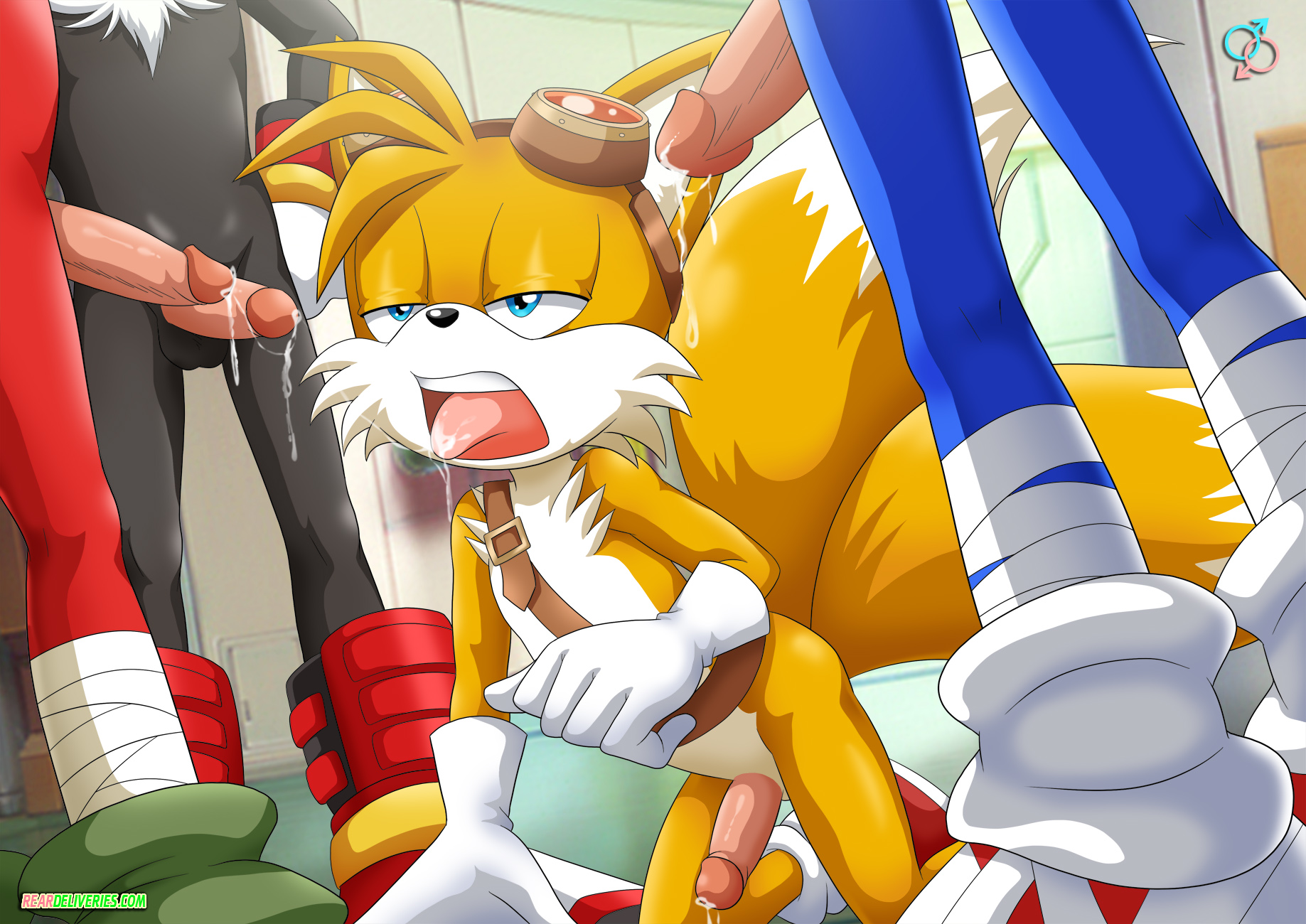 after sex, all fours, anthro, black fur, blue fur, canine, cum, echidna, fox, fur, furry, furry tail, gloves, hedgehog, interspecies, knuckles (boom), knuckles the echidna, male, male only, mammal, monotreme, multi tail, multiple males, nude, palcomix, penis, rear deliveries, red fur, sega, shadow (boom), shadow the hedgehog, sonic (boom), sonic (series), sonic boom, sonic the hedgehog, sonic the hedgehog (series), standing, tagme, tail, tails, tails the fox, team sonic, white fur, yaoi, yellow fur