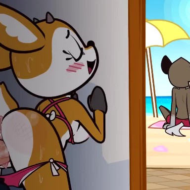 aggressive retsuko, aggretsuko, animation, beach, big penis, bikini, canaryprimary, female, female penetrated, haida (aggretsuko), male, male penetrating, male penetrating female, male/female, penis, penis in pussy, pussy fucking, tsunoda, vaginal, vaginal insertion, vaginal penetration, vaginal sex