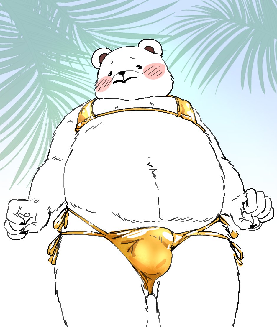 anthro bear belly bepo_(one_piece) bikini blush bulge clothed clothing crossdressing detailed_bulge embarrassed fur male male_only mammal micro_bikini moobs nekokat42 nipples one_piece overweight polar_bear solo swimwear two-piece_swimsuit ursine white_body white_fur