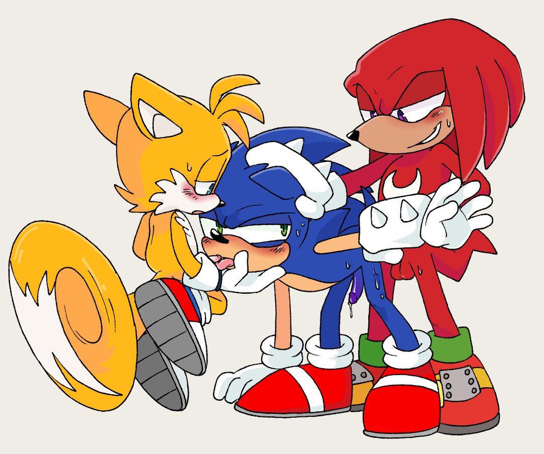 dubious consent, echidna, fox, furry, furry male, gay, gay sex, gay threesome, hate fuck, hedgehog, knuckles the echidna, male, miles tails prower, oral sex, pachi rizuu, rough sex, sex from behind, sonic (series), sonic the hedgehog, tails, tails the fox, threesome