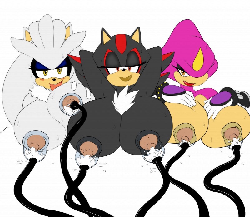 breasts espio_the_chameleon huge_breasts lactation nipples ravnic rule_63 sega shadow_the_hedgehog silver_the_hedgehog sonic_(series) sonic_the_hedgehog_(series)