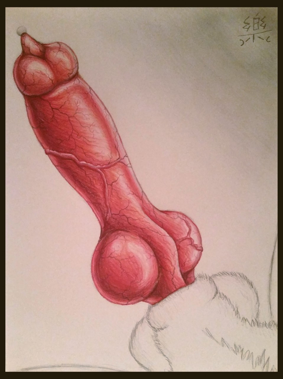 1boy animal_genitalia animal_penis balls canine erection foskybleu fur knot low_res male male_only mammal penis penis_close-up precum sheath solo solo_focus vein