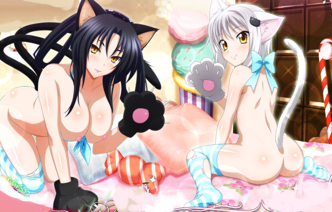 2girls, animal ears, ass, black hair, breasts, female, female only, flat chest, high school dxd, koneko toujou, kuroka (high school dxd), large breasts, multiple females, multiple girls, nekomimi, white hair