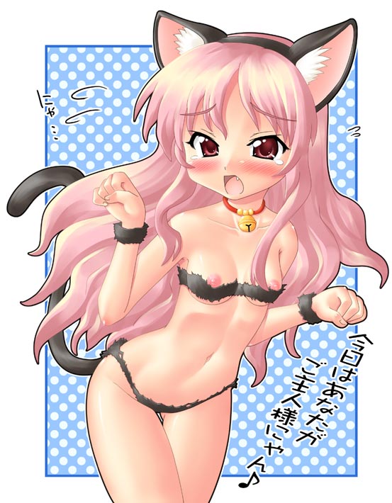 animal_ears artist_request bell blush bra breasts cat_ears cat_pose cute_fang female female_only flat_chest human leaning_over long_hair louise louise_francoise_le_blanc_de_la_valliere midriff navel open_mouth panties paw_pose pink_eyes pink_hair small_breasts solo standing tail tear translation_request wrist_cuffs zero_no_tsukaima