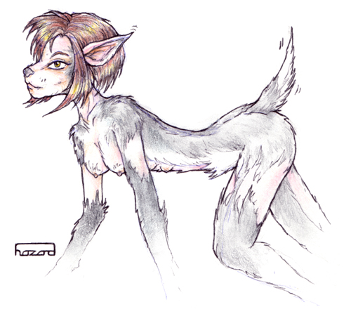 2002 all_fours anthro breasts brown_hair canine female hair hazard mammal nipples nude short_hair simple_background solo tail transformation what white_background wolf