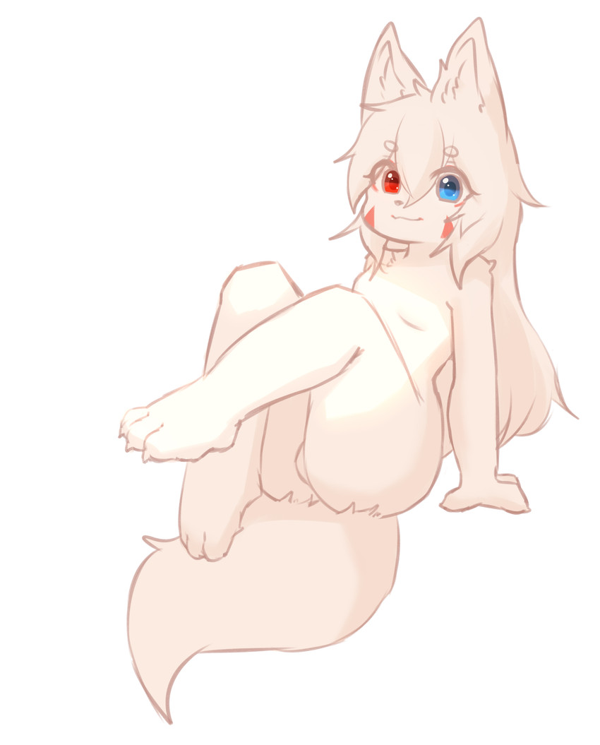 1girls, anthro, anthro female, anthro only, anthro solo, breasts, canxue, canxue (artist), canxue (character), completely naked, completely naked anthro, completely naked female, completely nude, completely nude anthro, completely nude female, cub, eyebrows, eyebrows visible through hair, eyelashes, eyelashes visible through hair, female, female cub, female only, fur, furry, furry female, furry only, heterochromia, naked, naked anthro, naked female, nude, nude anthro, nude female, small breasts, solo, solo anthro, solo female, white body, white fur, young, young anthro, young female