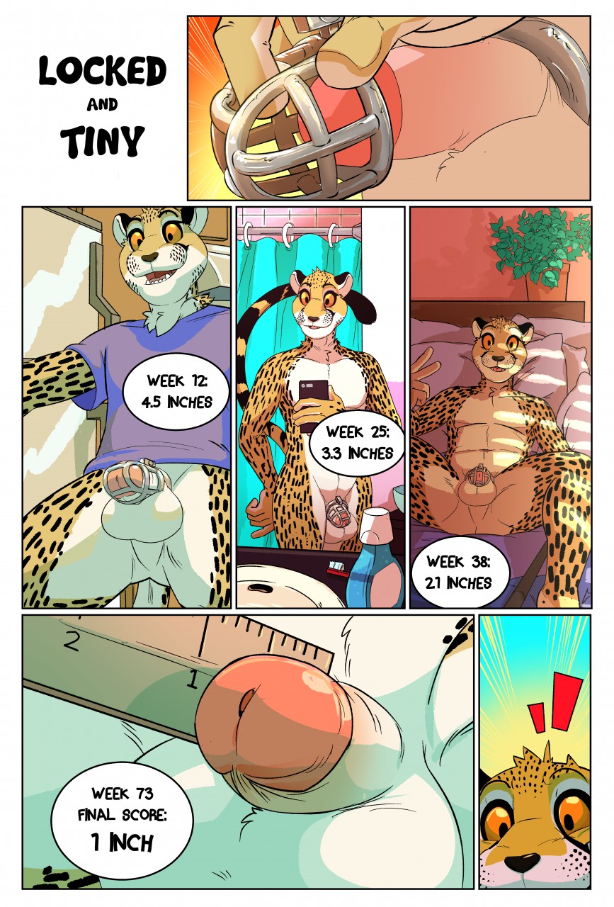 1boy anthro balls bondage chastity chastity_cage cheetah comic daire301 feline male male_only mammal penis penis_shrinking small_penis solo what