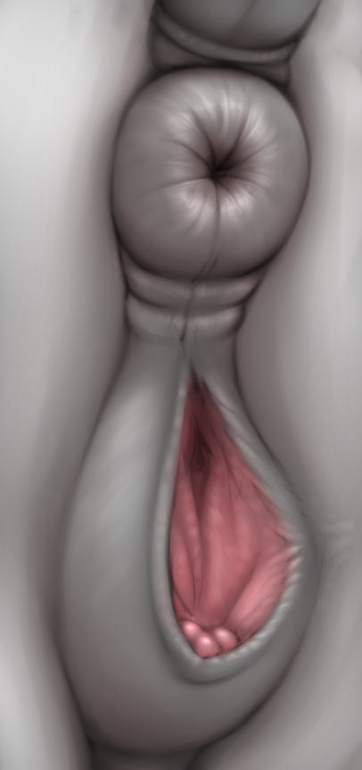 2018 anatomically_correct anatomically_correct_pussy animal_genitalia animal_pussy anus clitoris collaboration detailed_pussy digital_media_(artwork) equine equine_pussy female feral friendship_is_magic genital_focus horse mammal my_little_pony puffy_anus pussy rarity_(mlp) solo yoditax zippysqrl