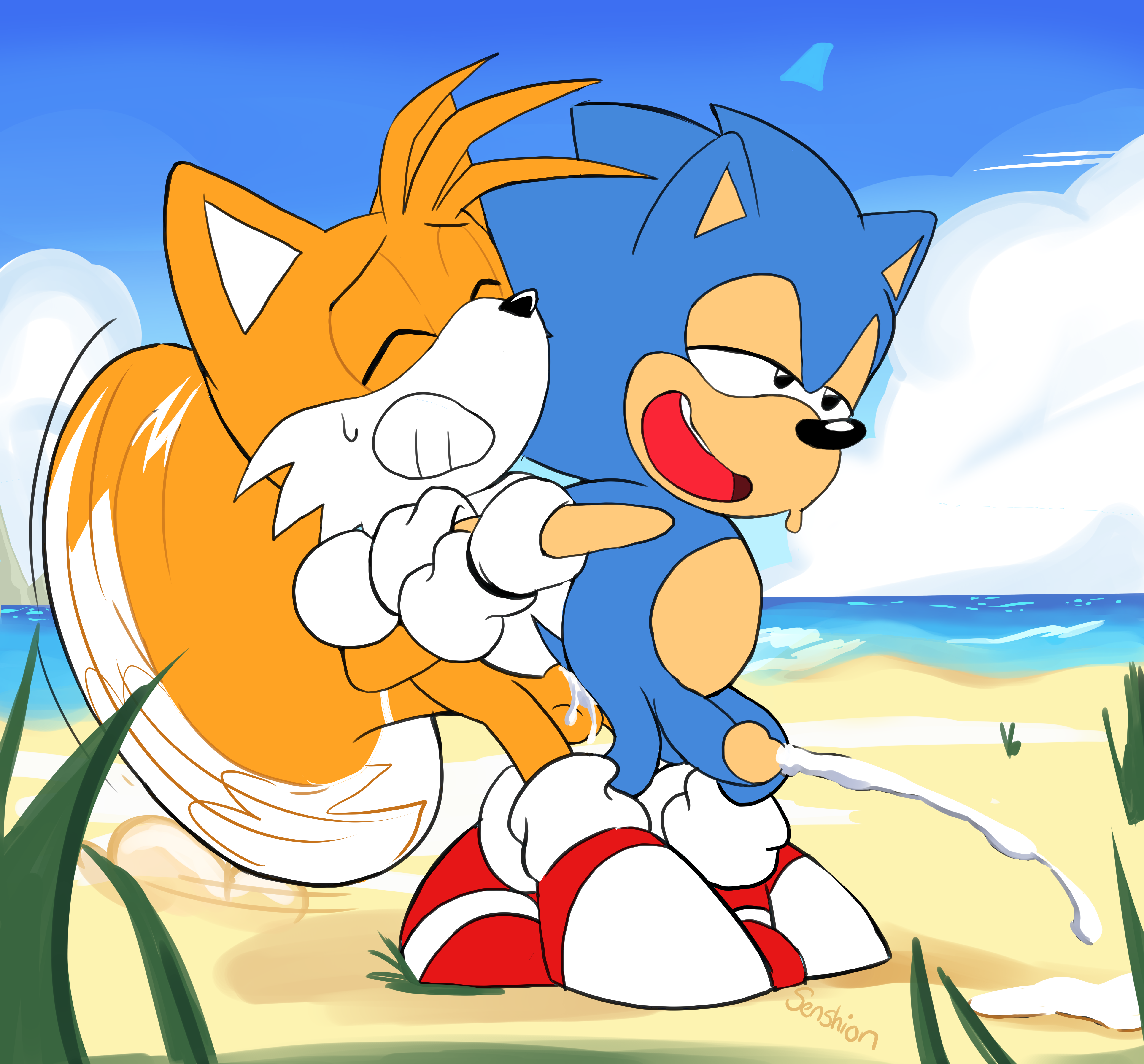 anal, anal sex, anthro, arm grab, ass, balls, beach, bedroom eyes, canine, classic sonic (universe), clenched teeth, closed eyes, clothing, cum, cum in ass, cum inside, cum while penetrated, cumshot, duo, ejaculation, erection, exposed torso, footwear, fox, fur, gay, gloves, half-closed eyes, hands-free, handwear, hedgehog, looking pleasured, male, mammal, mostly nude, narrowed eyes, open mouth, orgasm, orgasm face, outside, penetration, penis, prison guard position, seaside, senshion, sex, shoes, sonic (series), sonic mania, sonic the hedgehog, sonic the hedgehog (series), sweat, tail, tails, tails the fox, teeth, yaoi
