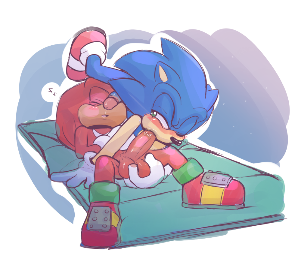 69 balls knuckles_the_echidna male_only oral penis rexin sleeping sonic_(series) sonic_the_hedgehog sonknux