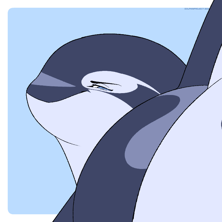 1:1 against_surface animated blue_eyes blue_insides cetacean cloaca cloaca_juice close-up dolphin dolphinproject dominant dominant_female female feral first_person_view genitals half-closed_eyes looking_at_viewer loop mammal marine narrowed_eyes oceanic_dolphin on_glass orca pussy short_playtime solo toothed_whale ugly_bastard yano_(dolphinproject)