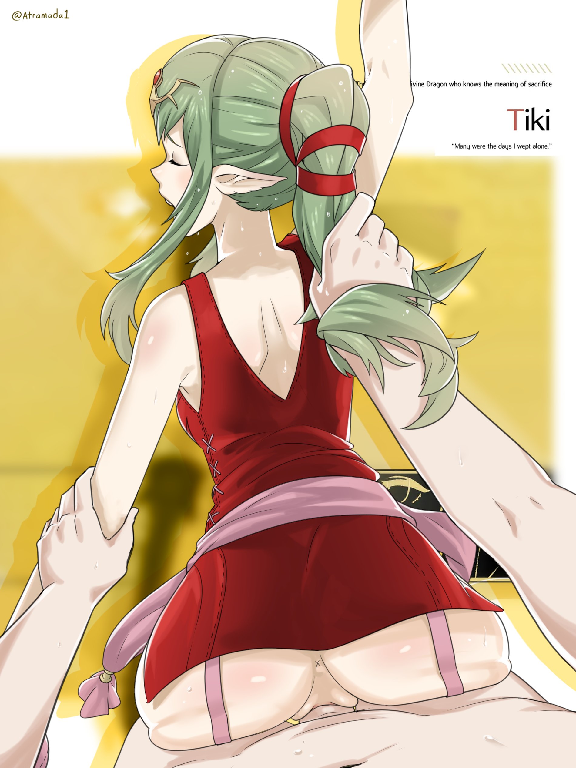 1boy, 1girls, anus, arm grab, atramada1, doggy style, female, fire emblem, fire emblem awakening, green hair, hair grab, light skin, light-skinned female, light-skinned male, male, male pov, nintendo, penetration, pov, sex, sweat, sweatdrop, tiki (adult) (fire emblem), tiki (fire emblem), tiki (fire emblem) (adult), vaginal penetration, vaginal sex