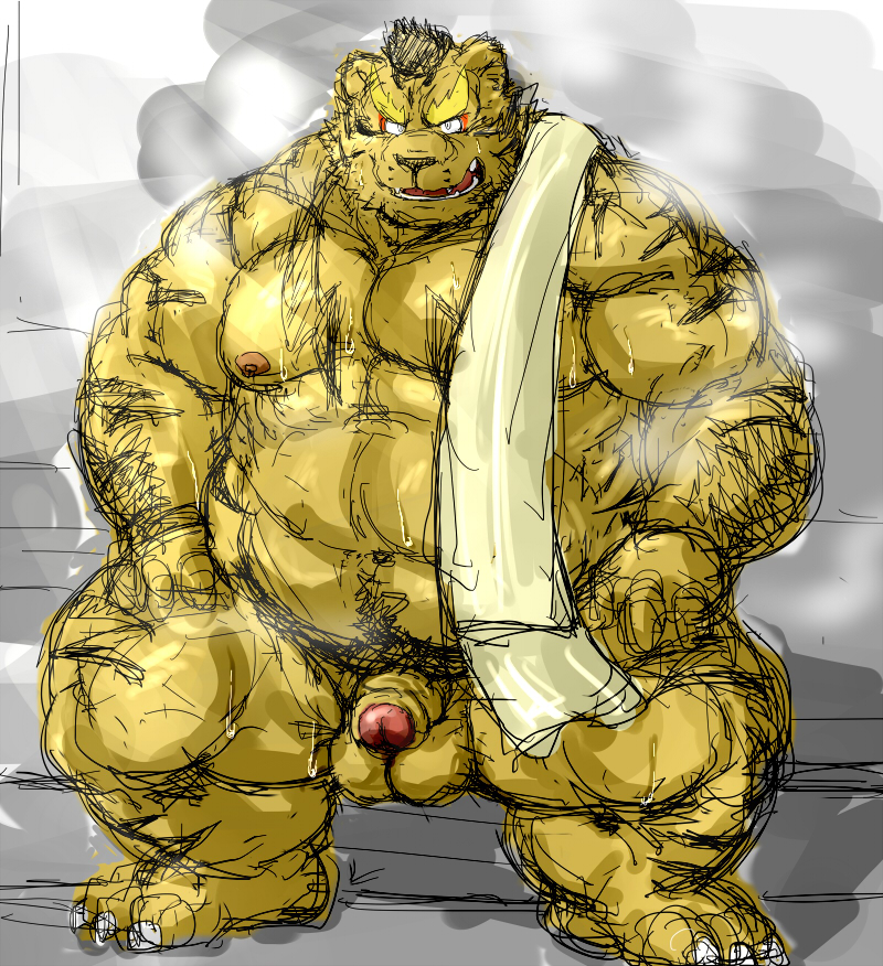 1boy 2015 barazoku feline flaccid hot_spring humanoid_penis kemono kotobuki looking_at_viewer male male_only mammal muscular obese onsen overweight penis simple_background sitting solo sweat tiger towel water