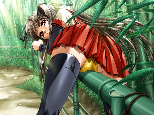 bamboo_forest black_hair brown_eyes crotch_rub forest game_cg jokei_kazoku masturbation nature panties pantyshot ribbon ribbons sannouji_urara skirt solo takei_masaki thighhighs tied_hair twintails underwear yellow_panties zettai_ryouiki