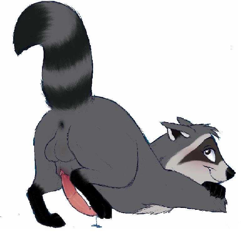 2017 anatomically_correct anatomically_correct_penis anus ass_up balls blush disney feral looking_at_viewer looking_back male male_only mammal meeko penis pocahontas precum presenting procyonid raccoon raised_tail solo unknown_artist