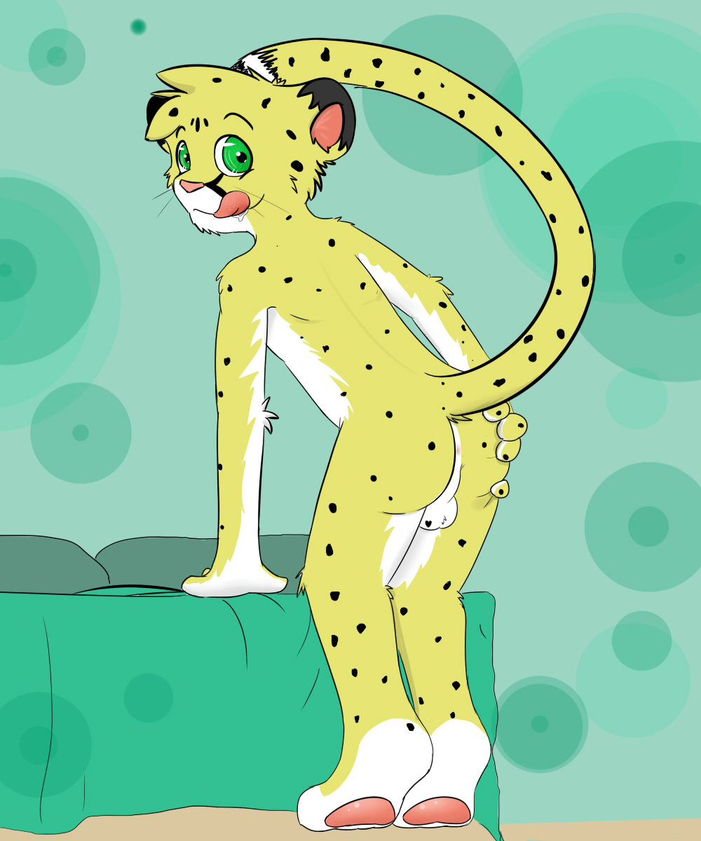 anthro anus ass backsack balls cheetah feline furry furry_only green_eyes heart_marking knox_(artist) male male_focus male_only mammal no_humans perineum presenting presenting_hindquarters salmy solo whiskers