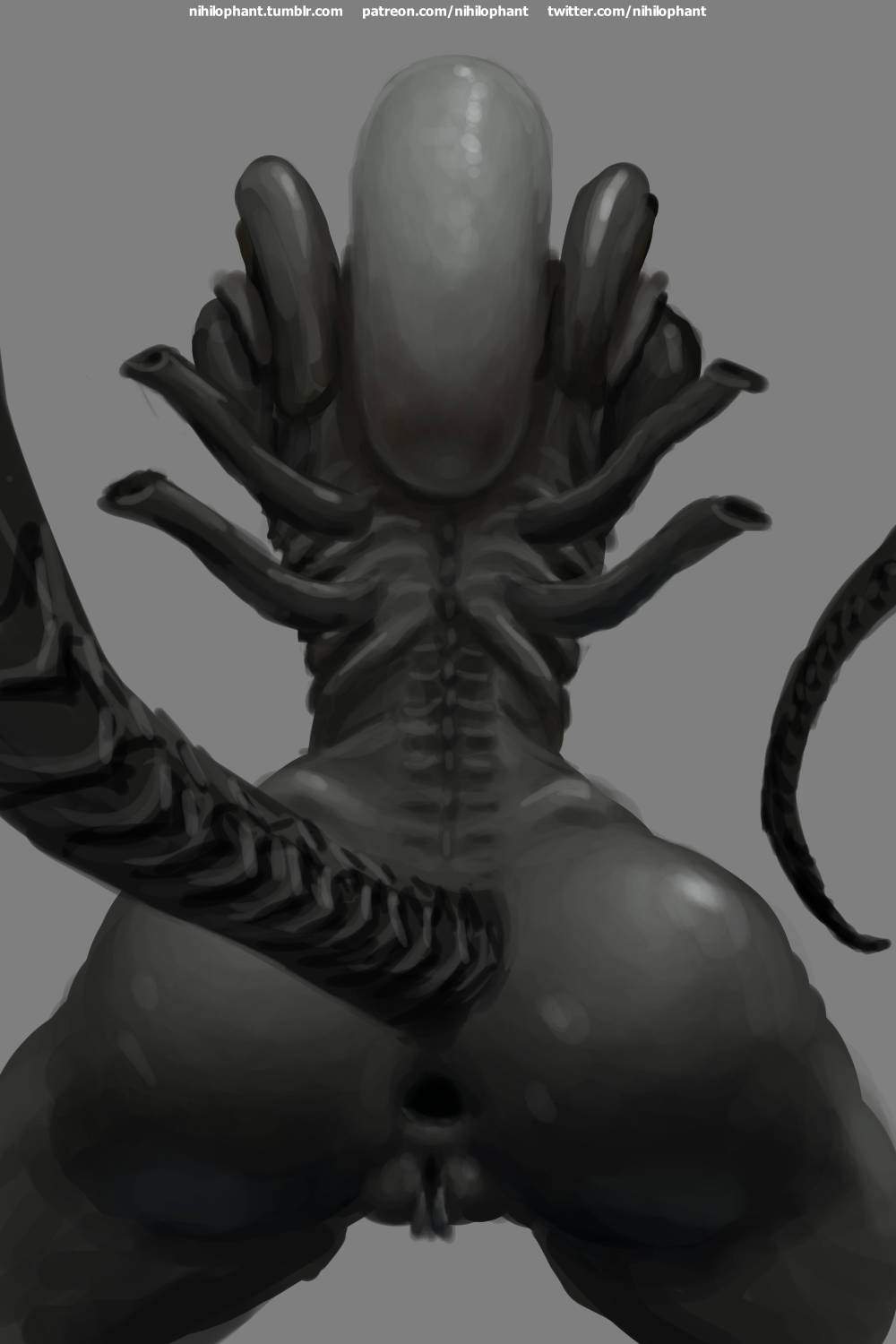 2018 alien alien_(franchise) anus ass big_ass female female_xenomorph feral_only gaping gaping_anus nihilophant presenting presenting_hindquarters pussy raised_tail simple_background solo xenomorph