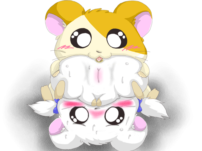 1boy 1girls anus artist_request bijou blush hamster hamtaro hamtaro_(series) licking_anus pussy tagme