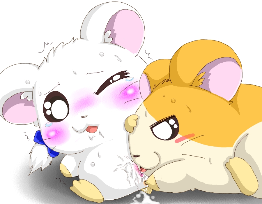 1boy 1girls anus artist_request bijou blush hamster hamtaro hamtaro_(series) licking_pussy pussy tagme