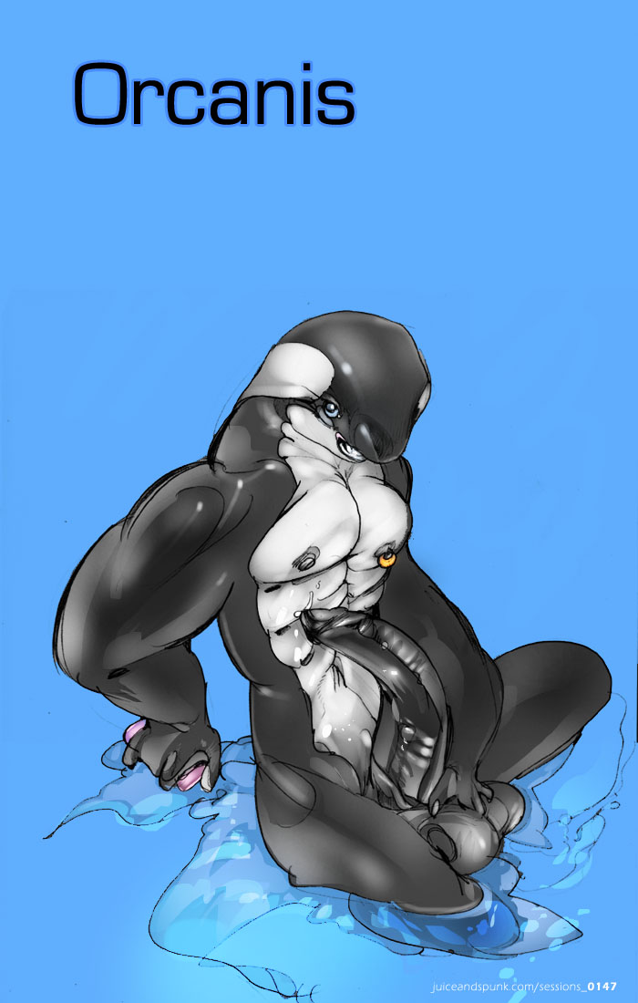 anthro balls cetacean male mamabliss mammal marine nipple_piercing nipples orca penis piercing soap solo wet whale