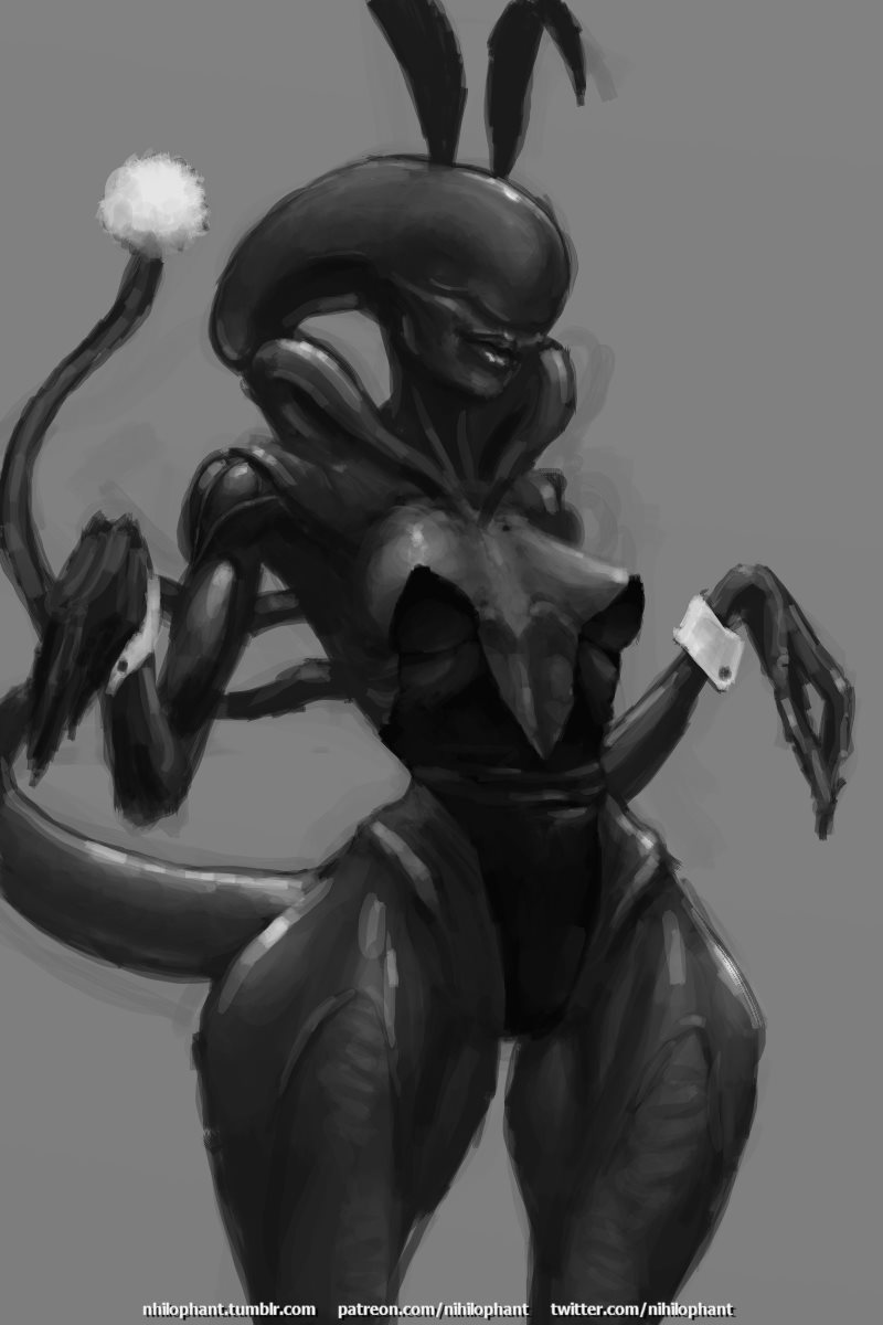 1girls alien alien_girl bunny_ears bunny_girl bunnysuit exoskeleton female female_xenomorph nihilophant tail xenomorph