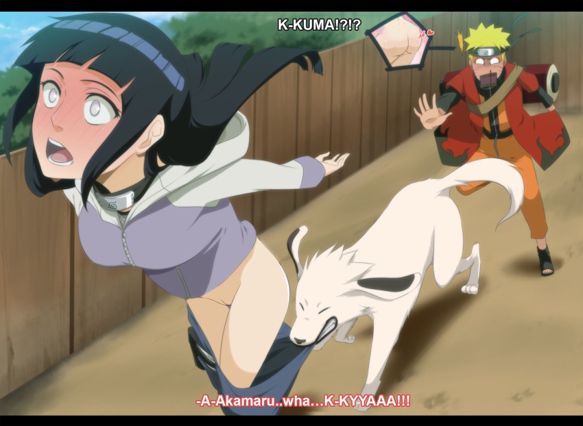 akamaru_(naruto) animal_pulling_clothes assisted_exposure blush canid canid_on_humanoid canine canine_on_human dog domestic_dog embarrassed female_human feral hetero human hyuuga_hinata male male/female male_canine male_human naruto naughty_animal no_panties outdoors pants_down pants_pull pantsing public tagme uzumaki_naruto vagina white_fur