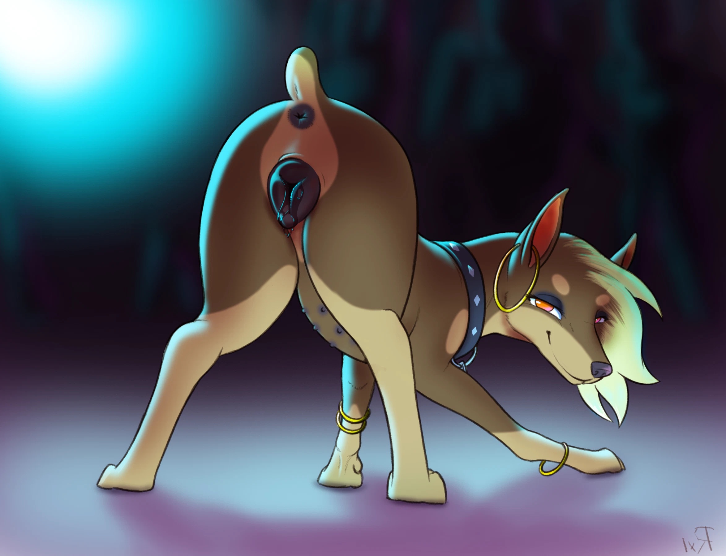 1girls, animal genitalia, animal pussy, anus, ass, bent over, bracelet, brown body, canid, canine, canine pussy, canis, collar, dobermann, domestic dog, ear piercing, female, female only, feral, fur, furry, genitals, hair, hi res, jewelry, looking at viewer, looking back, mammal, multi nipple, multicolored body, multicolored fur, nipples, pepper (halbean), piercing, pinscher, plump labia, presenting, presenting hindquarters, presenting pussy, pussy, rear view, short tail, simple background, solo, y anus, zoophilia