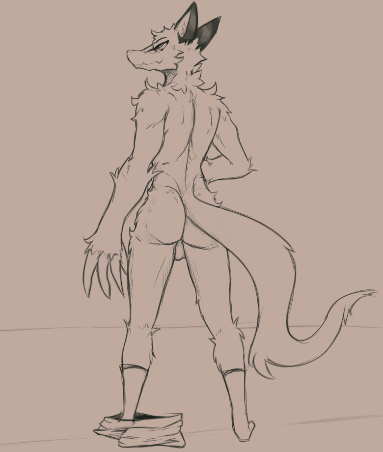 anthro arm_tuft backsack balls biped canid claws clothing dropped_pants elbow_tufts facial_markings fluffy fluffy_tail footwear genitals head_markings humanoid lawyerdog long_claws male male_only mammal markings nude rear_view snout socks solo tuft