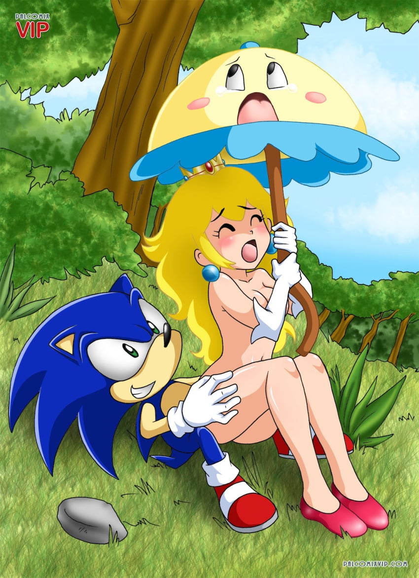 1boy 1boy1girl 1girls anthro bbmbbf blonde blonde_female blonde_hair blonde_hair_female blush bushes closed_eyes crossover crown eyes_closed female green_eyes grin happy happy_sex hedgehog interspecies male mario_(series) moan moaning mountain mouth_open nintendo open_mouth outdoor_sex outdoors palcomixvip.com parasol perry_(nintendo) princess_peach scream screaming smile sonic_(series) sonic_the_hedgehog sonic_the_hedgehog_(series) straight super_princess_peach umbrella