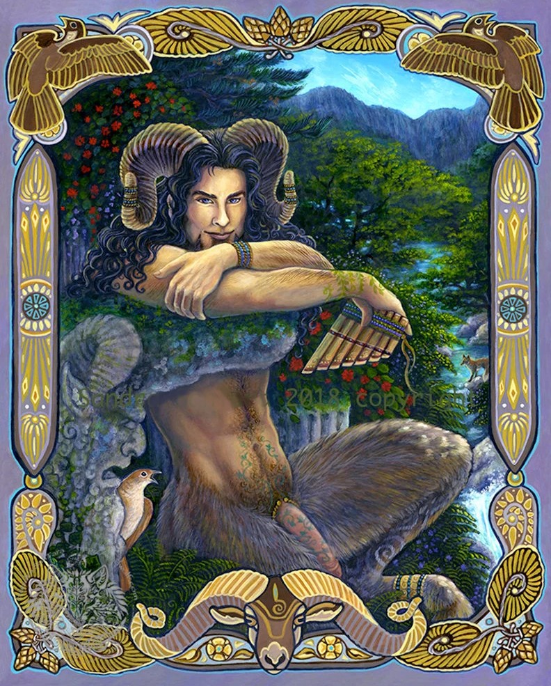 Forest Rule 34 Image