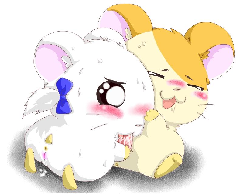 1boy 1girls anus artist_request bijou blowjob blush hamster hamtaro hamtaro_(series) penis pussy tagme