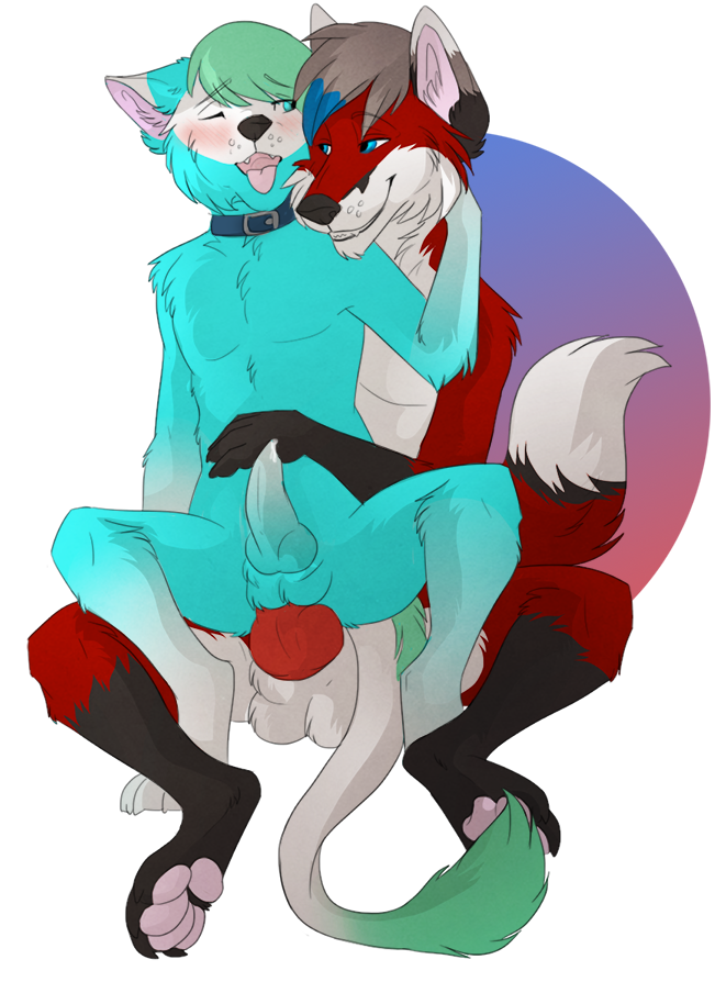 ahrkitts_old balls blue_fur blush canine collar fox fur hybrid justinefox knot looking_pleasured male mammal precum yaoi zaffwyn