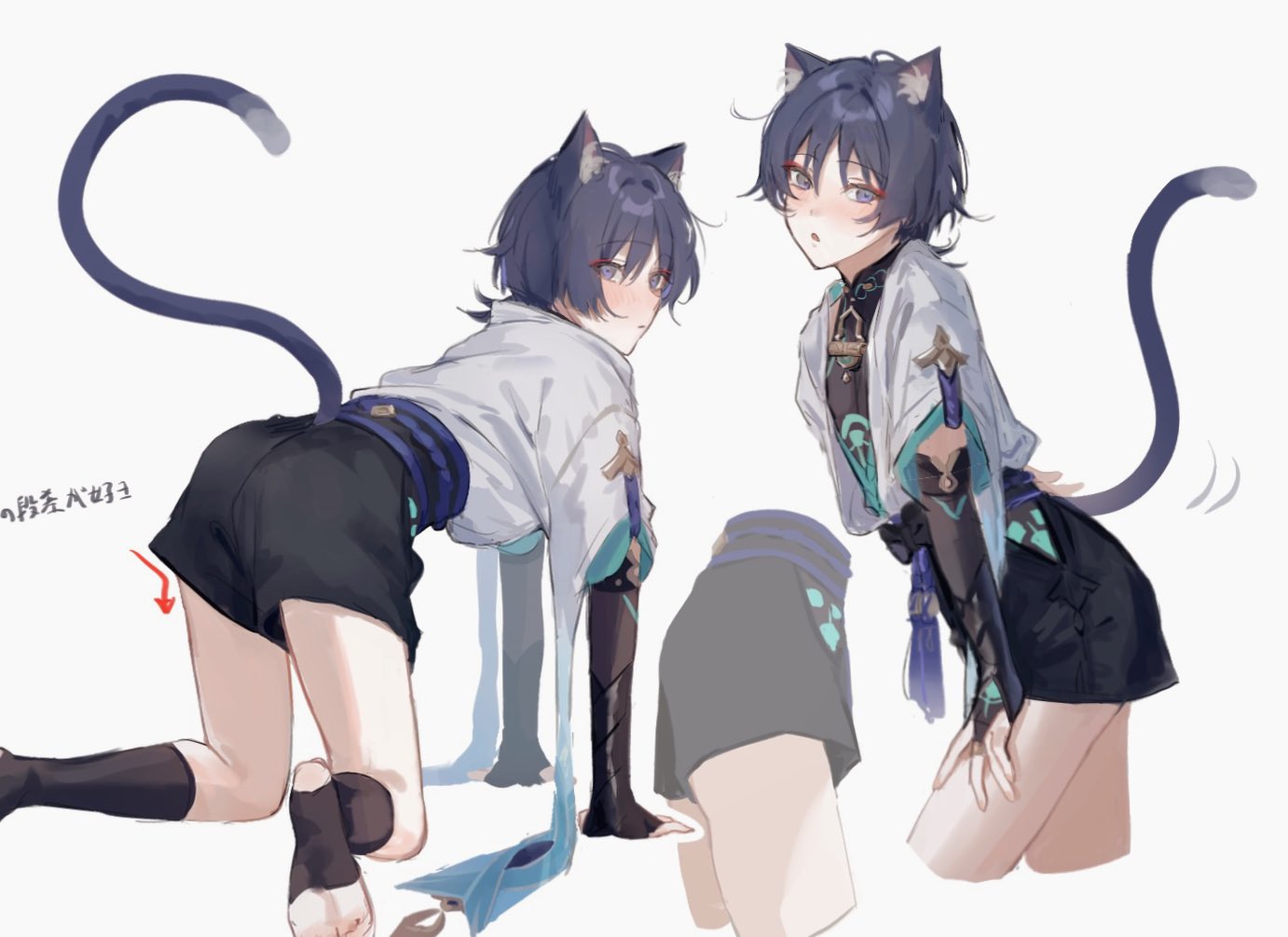 1boy all_fours auauun bent_over blue_eyes blue_hair cat_ears cat_humanoid cat_tail catboy femboy genshin_impact male male_only scaramouche_(genshin_impact) tagme twink