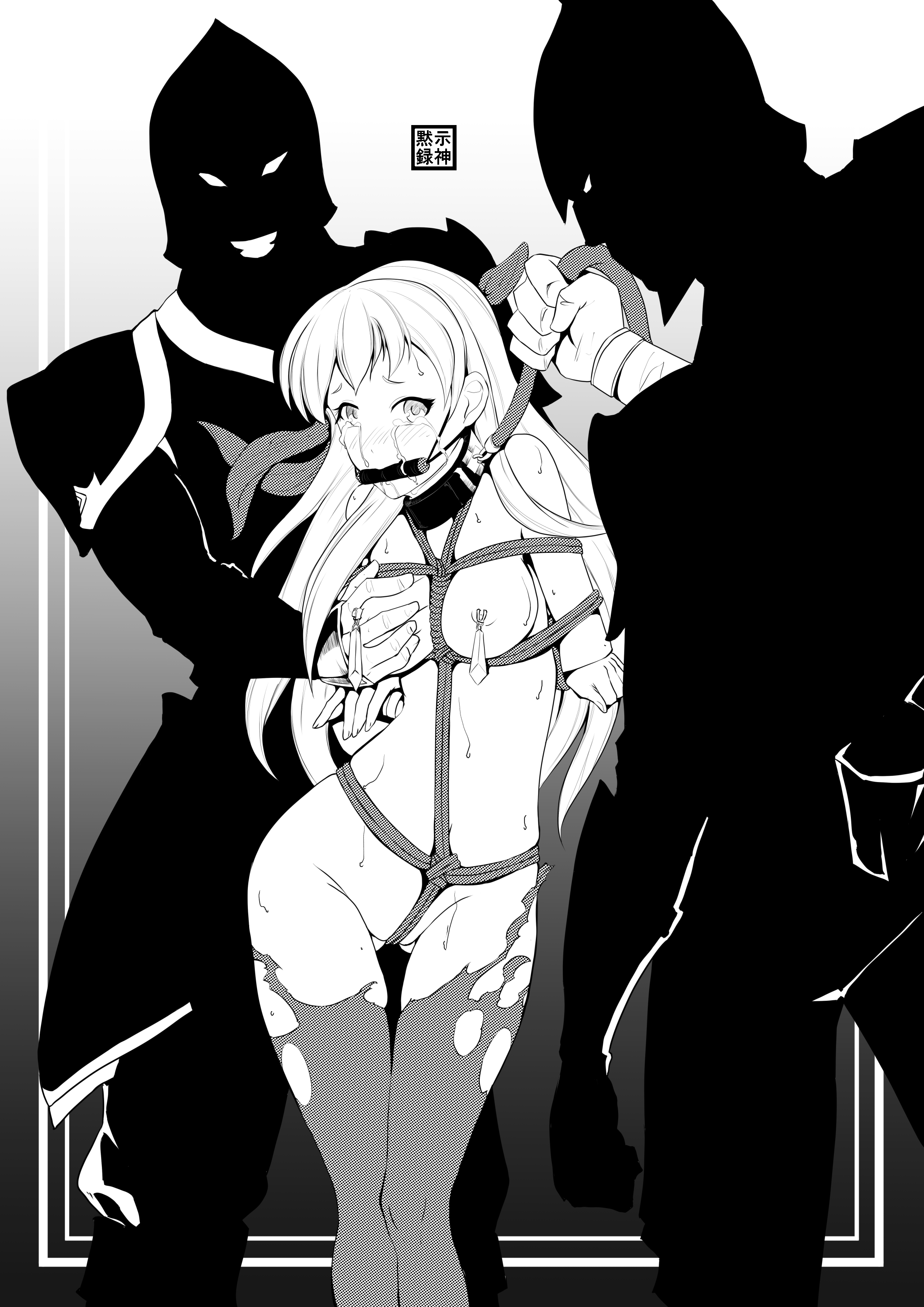 bit gag, bondage, bound, collar, eudetenis, female, femsub, fire emblem, fire emblem: radiant dawn, gag, gagged, kidnapped, leash, male, maledom, micaiah (fire emblem), monochrome, nipples, tears, torn legwear