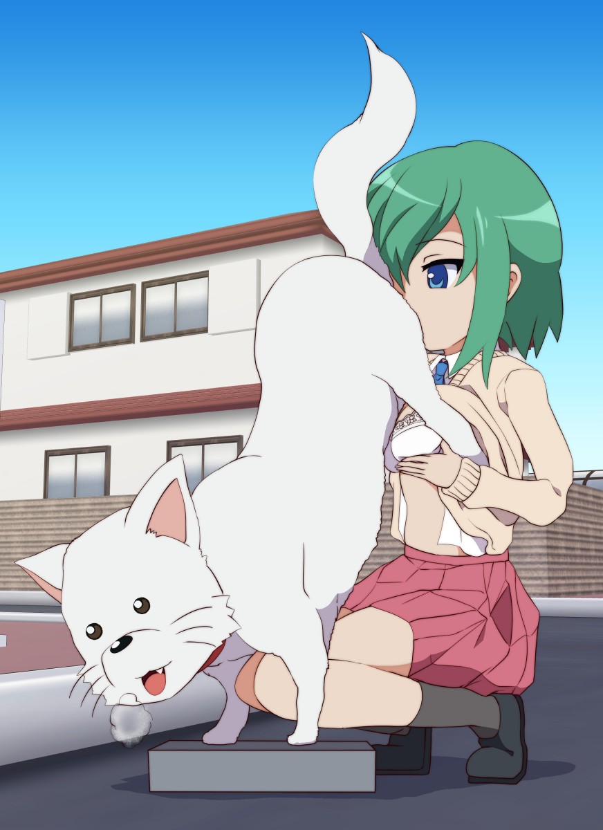 1girls blue_eyes blush bra breasts canine clothing female female_human/male_feral feral green_hair human interspecies large_breasts lucky_star minami_iwasaki oral_sex paizuri shirt_lift skirt underwear uwa~a white_bra zoophilia