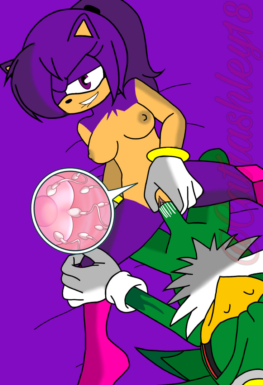 anthro ashley_the_hedgehog avian avian_male catrashley18 furry furry_female impregnation jet_the_hawk ovum pregnant sonic_(series)