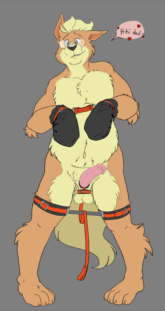 2018 anthro balls bondage bound bravo canine erection eyewear glasses growlithe hair leash male male_only mammal nintendo nude penis pokémon_(species) pokemon pokemon_(species) simple_background slightly_chubby smile solo spreader video_games