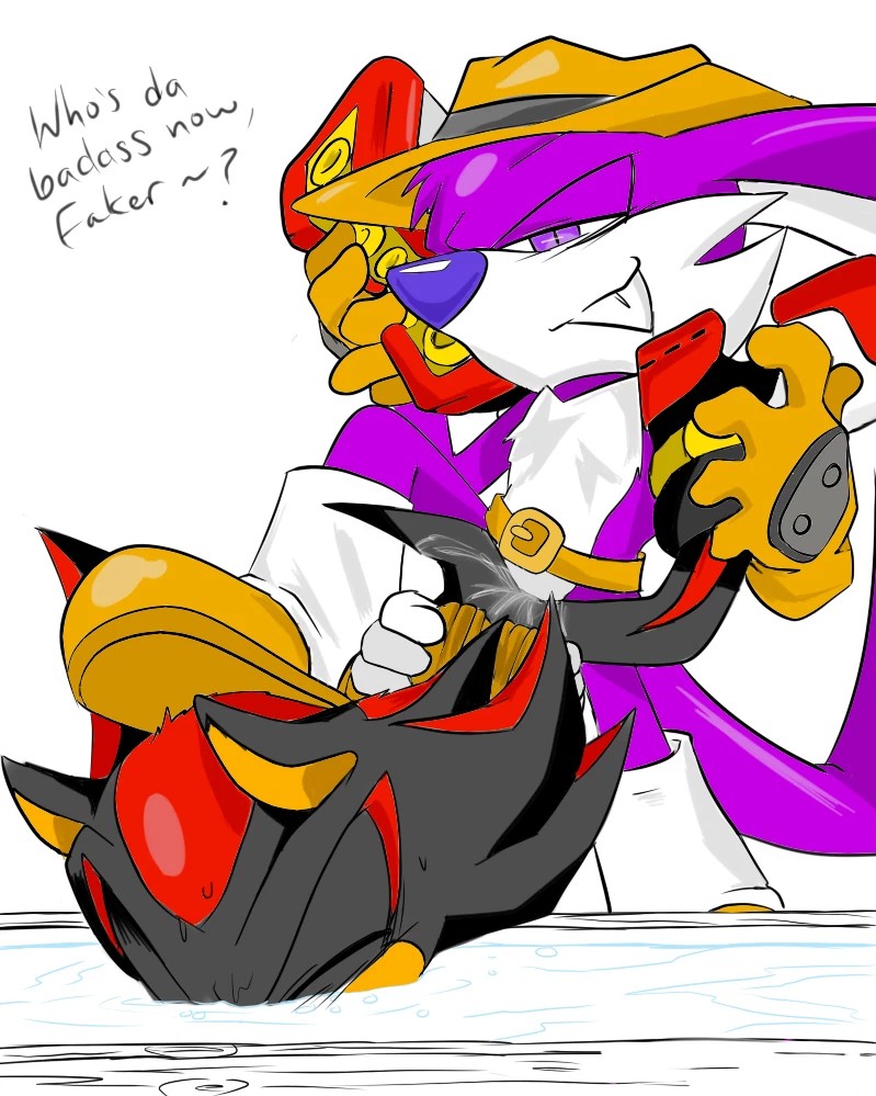 Fang The Hunter (Sega) Rule 34 Image