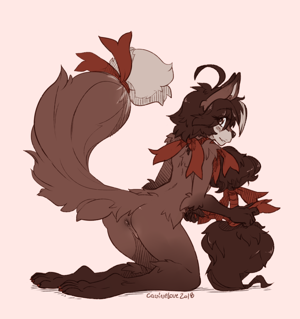 2018 anthro anus ass backsack balls brown_fur canine caninelove fluffy fluffy_tail fur girly hair long_hair male male_only mammal ribbons simple_background solo tail_ribbon white_background