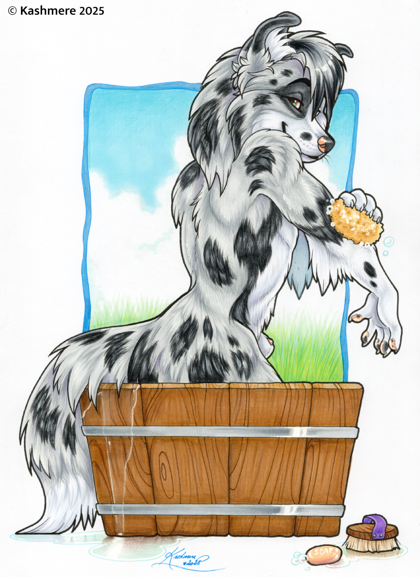 2025 5_fingers animal_genitalia anthro bath bathing bathtub black_spots brown_eyes brush canid canine canis claws collie domestic_dog finger_claws fingers fur genitals grass hair hair_over_eye herding_dog inner_ear_fluff kashmere looking_at_viewer male mammal pastoral_dog pawpads penis penis_tip plant sheath sheepdog side_view signature smile soap solo sponge spots suds tail traditional_media_(artwork) tuft water whiskers white_body white_fur