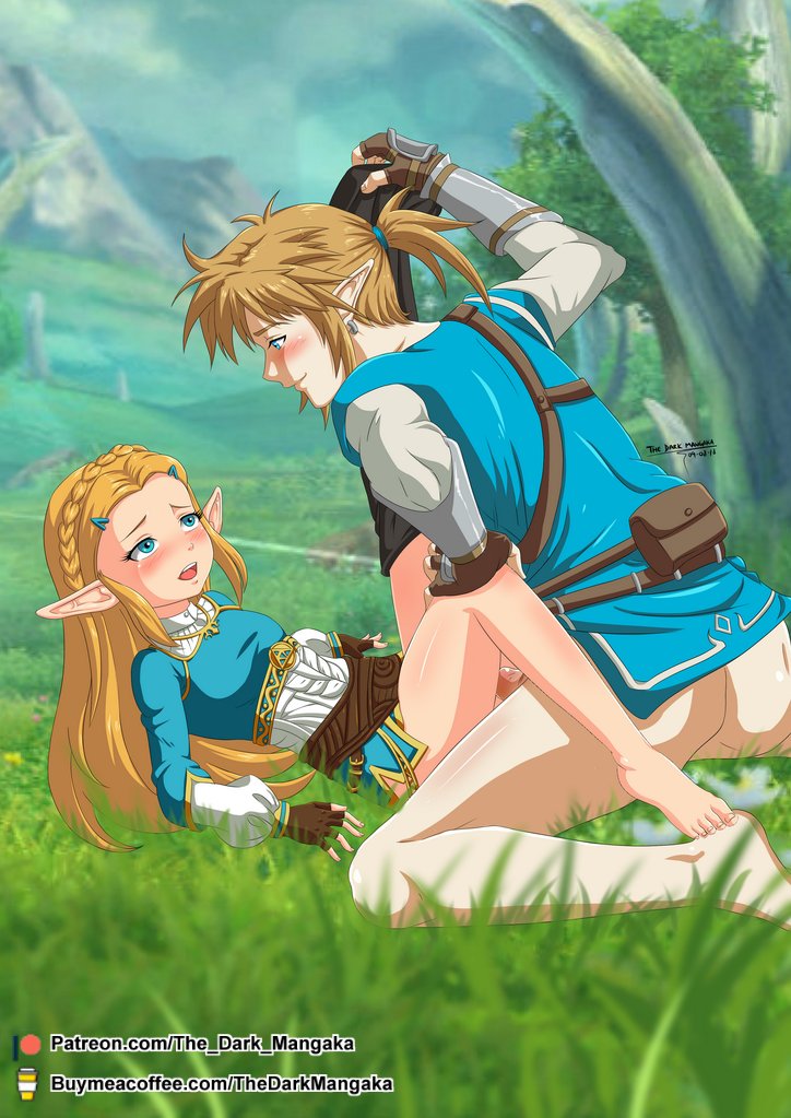 ass, barefoot, blonde hair, blue eyes, blush, braid, braided hair, breath of the wild, champion's tunic, clothing, duo, feet, female, fingerless gloves, gloves, grass, hair, hylian, imminent sex, kneeling, legs, link, link (breath of the wild), long hair, lying, male, nintendo, open mouth, penis, pointy ears, princess, princess zelda, public, signature, straight, the dark mangaka, the legend of zelda, thighhighs, thighs, undressing, video games, zelda (breath of the wild)