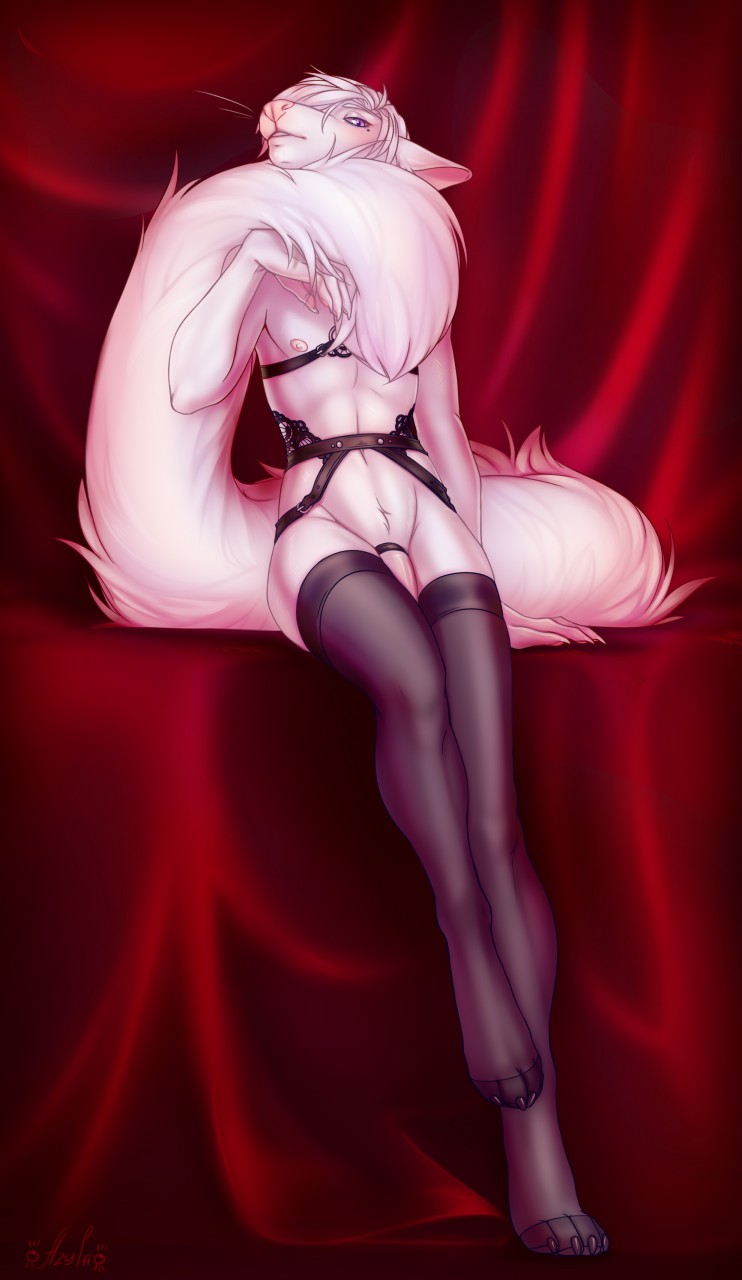 anthro canine clothing cock_ring fox legwear lingerie long_tail looking_at_viewer male mammal nipples penis seductive solo stockings zilya-lya