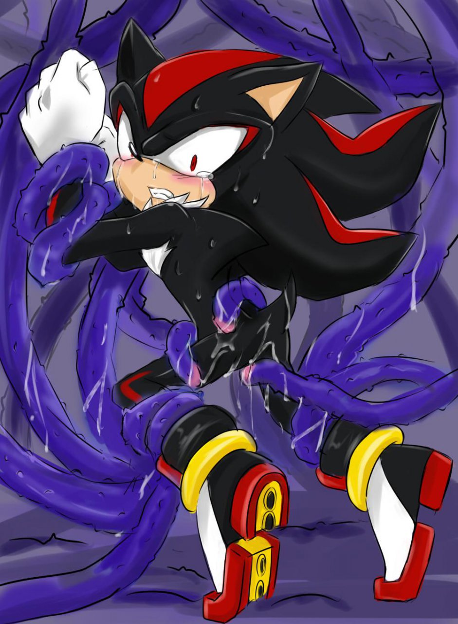 bound garugirosonicshadow rape restrained shadow_the_hedgehog sonic_(series) tears tentacle tentacle_on_male tentacle_rape yaoi