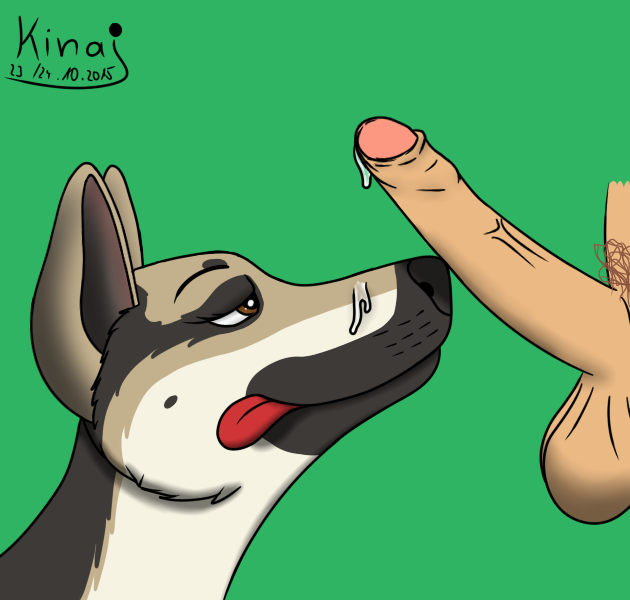 2015 balls brown_eyes canine canine disembodied_penis erection female feral german_shepherd human human_on_feral humanoid_penis interspecies kinaj kira_(tiquana) licking licking_lips male mammal penis precum simple_background tongue tongue_out zoophilia