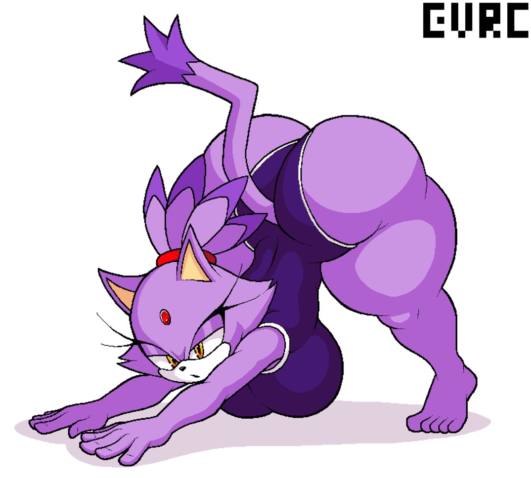 1girls, anthro, ass, big ass, big breasts, big butt, big thighs, blaze the cat, cat, cat ears, cat tail, catgirl, evrc, feline, feline humanoid, female, female only, furry, furry female, furry only, huge ass, huge breasts, huge butt, shortstack, softcore, solo, solo female, sonic (series), sonic the hedgehog (series), thicc, thick, thick ass, thick hips, thick legs, thick thighs, thighs