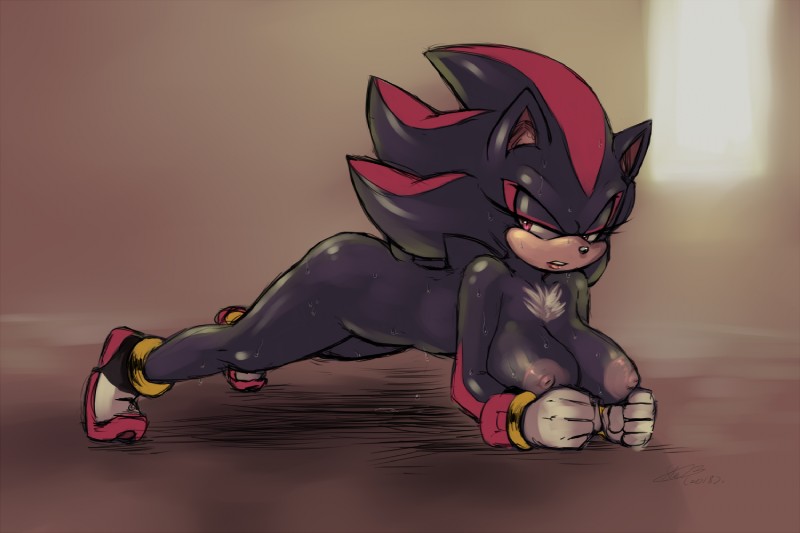 anthro, ass, big breasts, breasts, exercising, female, furry, genderswap, genderswap (mtf), nude, rule 63, shade the hedgehog, shadow the hedgehog, soina, sonic (series), sweat
