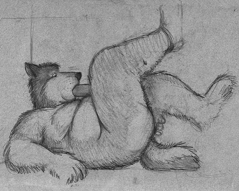 anthro autofellatio bd belly black_and_white canine clothing legwear lying male male_only mammal masturbation monochrome mostly_nude on_back oral oral_masturbation pencil_(artwork) penile_masturbation penis slightly_chubby socks solo traditional_media_(artwork)