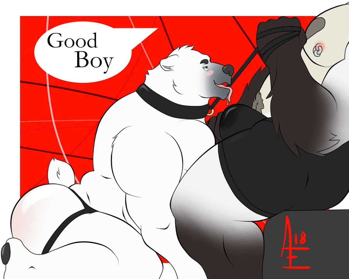 aereous aerrow anthro ass barazoku bear bondage bound bulge collar duo fur hi_res hybrid male mammal master musclegut muscular polar_bear simple_background tongue white_fur yaoi