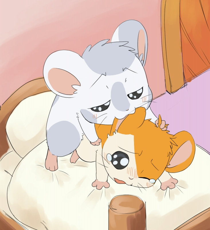 2011 ambiguous_gender bed bed_sheet bedding blush duo feral hamster hamtaro hamtaro_(series) inside male male/ambiguous mammal manmosu_marimo on_bed oxnard pillow rodent