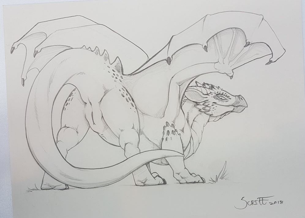 2018 anus ass claws dragon female feral greyscale looking_at_viewer monochrome paws pencil_(disambiguation) presenting presenting_hindquarters pussy raised_tail scalie scritt simple_background sketch slit solo spikes spreading traditional_media_(artwork) white_background wings